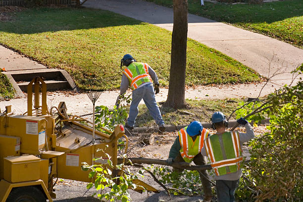 Lawn Drainage Solutions in Pittsburg, KS